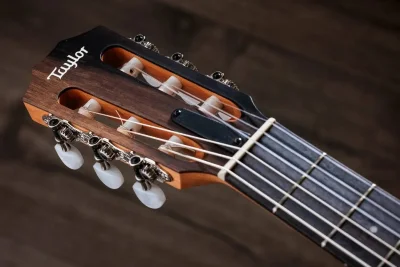 Електро-акустична гітара Taylor Guitars 214CE-N Rosewood