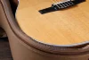 Електро-акустична гітара Taylor Guitars 214CE-N Rosewood