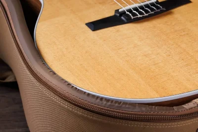 Електро-акустична гітара Taylor Guitars 214CE-N Rosewood