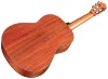Класична гітара Cordoba C9 CD