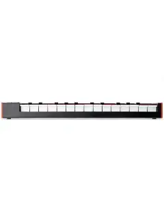 AKAI LPK25 MKII