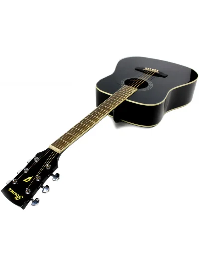 Акустична гітара Ibanez PF15 BK