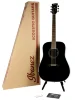 Акустична гітара Ibanez PF15 BK