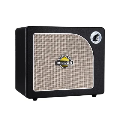Комбопідсилювач Mooer Hornet 30 Black