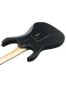 Електрогітара Ibanez GRGR330EX BKF