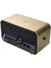 Комбопідсилювач Mooer F15i Li (Imperial Gold)