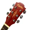 Акустична гітара Equites EQ901C BS 41