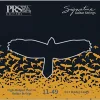 Струни PRS Signature David Grissom Guitar Strings 11-49