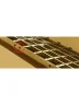 Маркери ладів Paxphil PS001 2.0mm (Black)