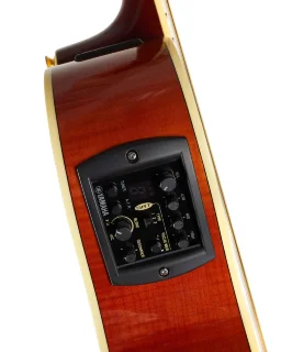 Yamaha APX1000 (Crimson Red Burst)