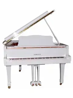 Yamaha GC1 (Polished White)