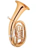 Ефоніум Maxtone TEC-53/L-2 (TEC101L)