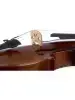 Скрипка Stentor 1542/A Graduate Violin Outfit 4/4