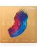 Струни для скрипки D'Addario A310 3/4M Ascenté Violin String Set 3/4 Scale Medium Tension