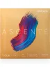 Струни для скрипки D'Addario A310 3/4M Ascenté Violin String Set 3/4 Scale Medium Tension