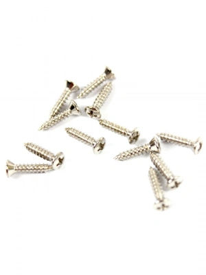 Fender Pickguard/Vintage Bridge Cover Screws