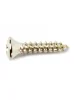 Шуруп Fender Pickguard/Vintage Bridge Cover Screws