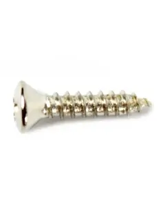 Fender Pickguard/Vintage Bridge Cover Screws