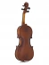 Скрипка Stentor 1542/E Graduate Violin Outfit 1/2 Скрипка Stentor 1542/E Graduate Violin Outfit 1/2
