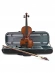 Скрипка Stentor 1542/E Graduate Violin Outfit 1/2 Скрипка Stentor 1542/E Graduate Violin Outfit 1/2