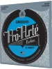 Струни D'Addario EJ46FF Pro-Arte Carbon Hard Tension