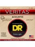 Струни DR VTA-10 Veritas Coated Core Extra Light 10-48
