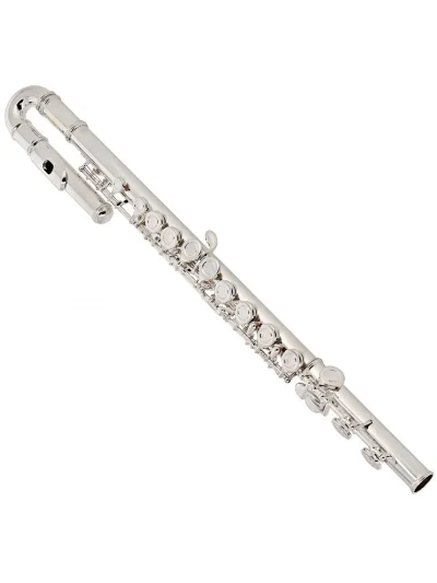 Флейта Maxtone TFC-51/S