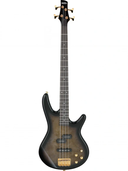 Бас-гітара Ibanez GSR200PC TPB