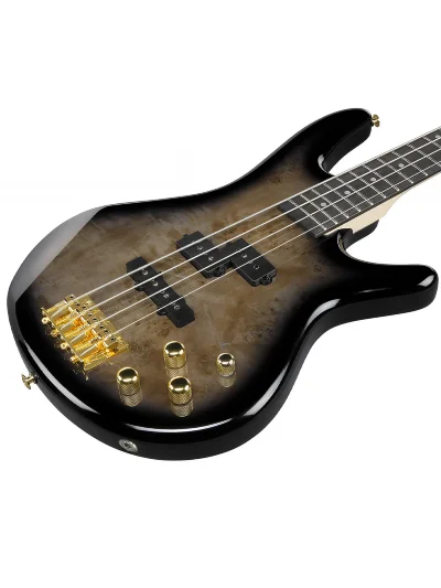 Бас-гітара Ibanez GSR200PC TPB