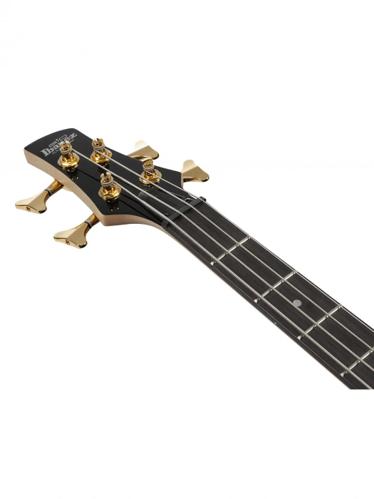 Бас-гітара Бас-гітара Ibanez GSR200PC TPB