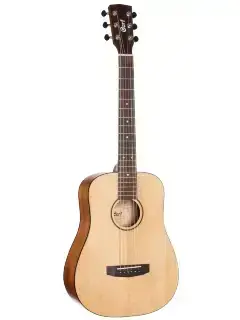 Cort Earth Mini (Open Pore)