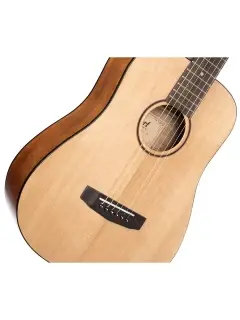 Cort Earth Mini (Open Pore)