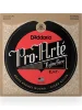 Струни D'Addario EJ47 Pro-Arte 80/20 Bronze Wound Normal Tension