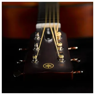 Yamaha FG5 (Gloss)