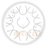Глюкофон Hluru Huashu THD13-12 White Tongue Drum (13notes 12" C major) Carbon Steel