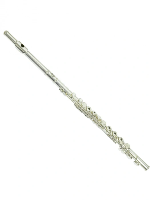 Флейта Флейта Maxtone TFC-51/SEO