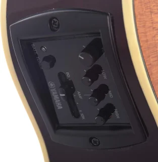 Yamaha APX600FM (Amber)
