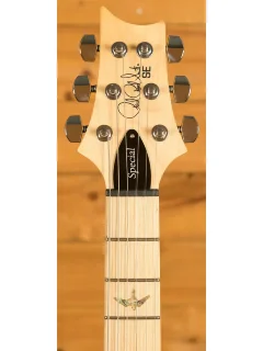 PRS SE Swamp Ash Special (Charcoal)