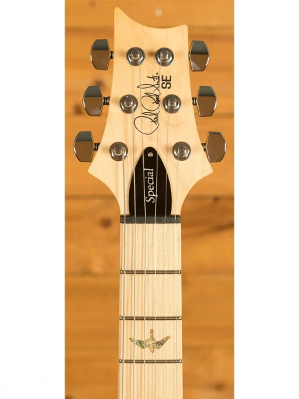 Електрогітара PRS SE Swamp Ash Special (Charcoal) Електрогітара PRS SE Swamp Ash Special (Charcoal)