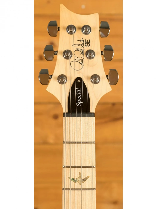 PRS SE Swamp Ash Special (Charcoal)