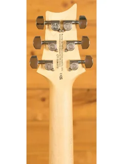 PRS SE Swamp Ash Special (Charcoal)