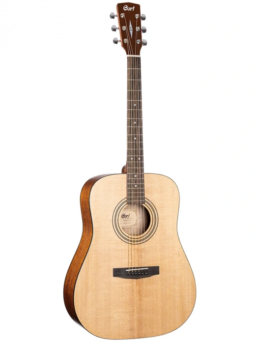 Cort Earth Pack (Open Pore)