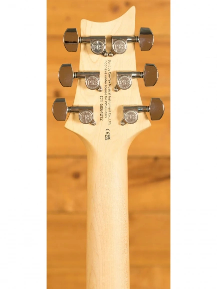 Електрогітара PRS SE Swamp Ash Special (Iri Blue) Електрогітара PRS SE Swamp Ash Special (Iri Blue)