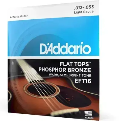 Струни D'Addario EFT16 Flat Tops Phosphor Bronze Light 12-53