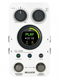 Mooer GL100