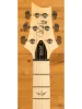 Електрогітара PRS SE Swamp Ash Special (Vintage Sunburst)