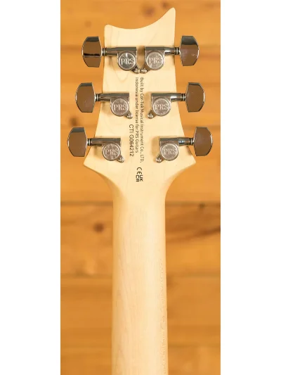 Електрогітара PRS SE Swamp Ash Special (Vintage Sunburst)