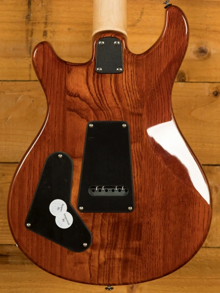 Електрогітара PRS SE Swamp Ash Special (Vintage Sunburst) Електрогітара PRS SE Swamp Ash Special (Vintage Sunburst)