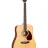 Cort Earth 100 (Natural)