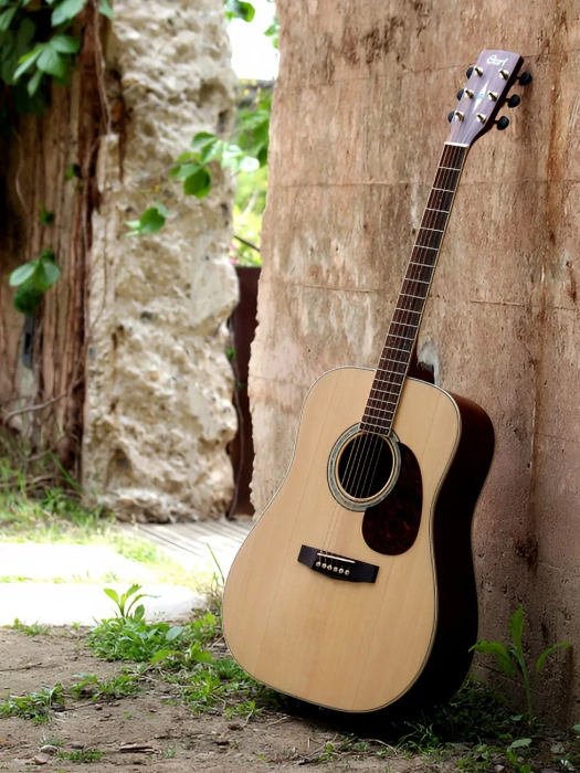 Акустична гітара Акустична гітара Cort Earth 100 (Natural)